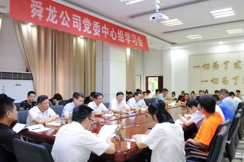 舜龍公司召開“講忠誠、嚴紀律、立政德”專題警示教育動員會